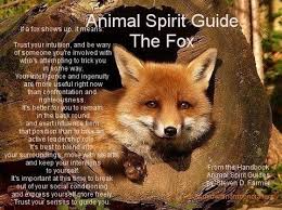 Your Daily Animal Spirit Guide For May 26th Is The Fox Animal Totem Spirit Guides Animal Spirit Guides Spirit Animal Totem