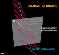Polarisation de la lumière - Docteur Damien Gatinel