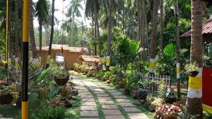 Pathway to the main entrance