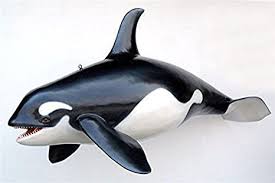Orca Killerwal Lebensgross 112cm Fur Draussen Aus Hochwertiger Glasfaserkunststoff Gfk Dinosaurier Figur Fantas Dinosaurier Figuren Terassen Ideen Deko Natur