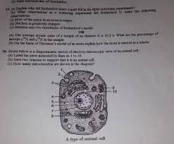 Animal cells are generally smaller than plant cells and lack a cell wall and chloroplasts; Answer It All These Points Are The Last Points Left With Me Won T U Help Me Plz Answer My Brainly In
