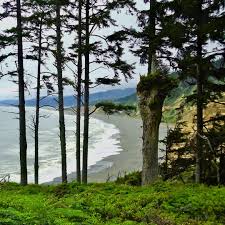 The rocks exposed in the seacliffs and offshore represent dynamic interplay between the subducting oceanic tectonic plate. Top Ten California Parks Patrick S Point State Park Redwook State Park