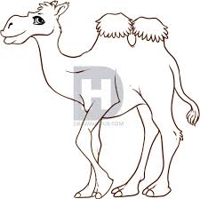 In this lesson, we're learning how to draw a cartoon camel. Images Of Cartoon Cute Camel Drawing Easy