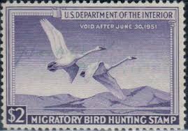 United States U S Department Of The Interior Migratory Bird Hunting Stamp 1951 Swans On Stamps Theme Usa Stamps Bird Hunting Stamp Collecting