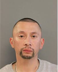 ᐅ Illinois Criminal Records 2009-2025