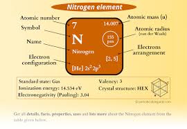 نتیجه جستجوی لغت [nitrogen] در گوگل