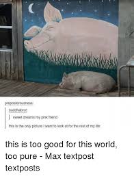 25 Best Precious Cinnamon Roll Too Good For This World Too Pure Memes Too Good For This World Memes Cinnamon Roll Too Good For This World Memes Precious Cinnamon Roll Memes