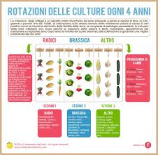 Rotazioni Delle Culture Ogni 4 Anni Orto Rotazione Delle Colture Orto In Giardino