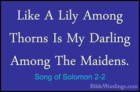 But he became a lily among thorns. Song Of Songs 2 Holy Bible English Biblewordings Com