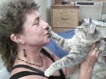 Owner revives kitten after jolt