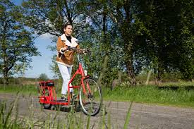 Lopifit Das Erste Elektrische Laufband Fahrrad