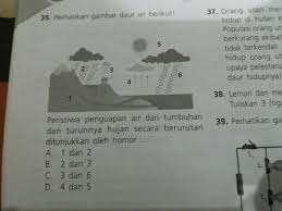 Susu evaporasi fn f&n / evaporated milk fn. Tolong Jawab Pertanyaan Ku Y Terima Kasih Yang Sudah Mau Menjawab Brainly Co Id