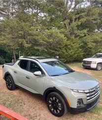 Image result for Sage Gray 2025 Santa Cruz