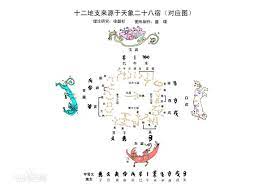pin on 雉鸡