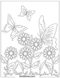 20 free butterfly coloring pages your kids will love verbnow