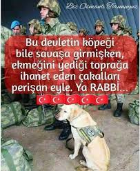 Suleyman Ozturk Adli Kullanicinin Turkiye Panosundaki Pin Tarih Bayrak Hayat Bilgisi
