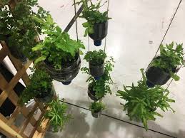 You could buy pots the right size to start any plants or seedlings from any gardening center, but none of them, even the ones made from natural or recycled materials. Diy Recycled Bottle Hanging Planter Loop Biosolids Loop Biosolids