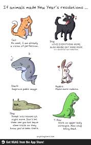9gag Why So Serious Funny New Year New Years Resolution Funny Animals