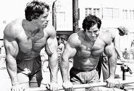 Arnold Schwarzenegger Greatest Physiques How much could arnold schwarzenegger really lift?