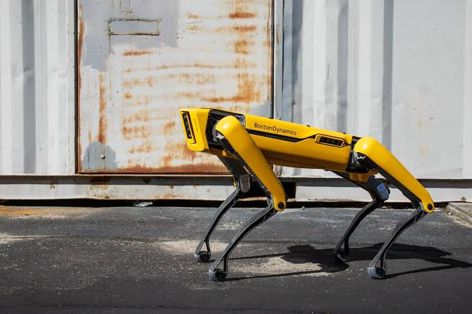 Perro robot de Boston Dynamics | Spot Robot - MFE México