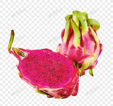 Ingin mengajari anak belajar memotong buah? Potong Naga Buah Buahan Dan Buah Naga Yang Lengkap Gambar Unduh Gratis Imej 400283404 Format Png My Lovepik Com