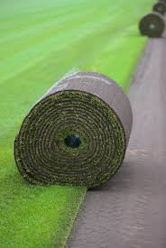 Covergarden Bordeaux Pelouse En Rouleau Gazon En Plaque Gazon En Rouleau