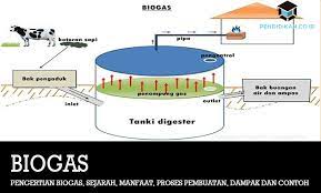 Proses pembentukan biogas pada prinsipnya, biogas terbentuk melalui beberapa proses yang berlangsung dalam ruang yang anaerob atau tanpa oksigen dengan bantuan mikroorganisme anaerob. Pengertian Biogas Sejarah Manfaat Proses Dampak Dan Contoh