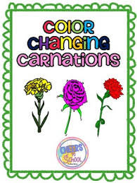 Check spelling or type a new query. Color Changing Carnations Freebie By Cheers To School Andrea Brown