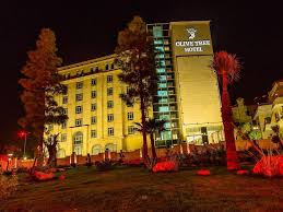 Amman Olive Tree Hotel Amman Jordan Middle East Olive Tree Hotel Amman Is Conveniently Located In The Popular Sweifeh Area Offe Hotel Olive Tree Amman Hotels