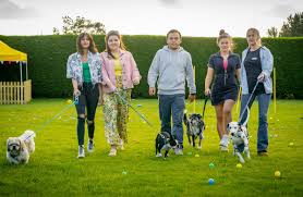 The syndicate is the autocratic superpower of the criminal world. The Syndicate Returns With Dogs Dodgy Haircuts And Lottery Wins The Independent