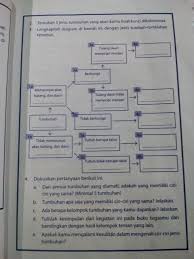 Feb 20, 2021 · data pada diagram kunci dikotom di atas jika ditulis akan menjadi kunci determinasi sebagai brainly co id kunci determinasi pengertian cara membuat determinasi tumbuhan contoh untuk pembahasan kali ini kami akan mengulas mengenai kunci determinasi yang dimana dalam hal ini meliputi pengertian cara membuat determinasi tumbuhan dan contoh nah. Tentukan 5 Jenis Tumbuhan Yang Akan Kamu Buat Kunci Dikotominya Cara Golden