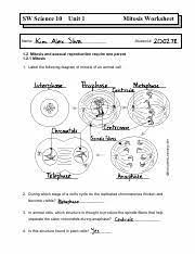 We did not find results for: Mitosis 1 Answers Pdf Sw Science 10 Unit 1 Mitosis Worksheet Name Student 1 2 Mitosis And Asexual Reproduction Require One Parent 1 2 1 Mitosis 1 Course Hero