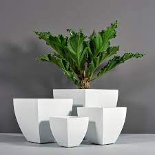 Contact us today to know more. Lima Square Tapered Planter Jay Scotts Collection