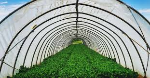 Durable nylon netting supports a robust crop of melons or squash squash and melon vines love to ramble about, gobbling up your precious garden space. 13 Diy High Tunnel Ideas To Build In Your Garden