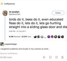 Birds Do It Bees Do It Even Educated Fleas Do It Song Meme With Images Funny Tumblr Funny Memes