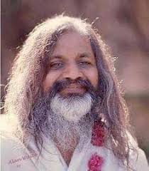 Contextualizing the meditation, and MMY..* This short quote was authored by  someone who worked with MMY