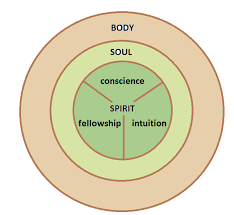 So the word of god cuts right between our soul and our spirit. What Is The Function Of Your Spirit