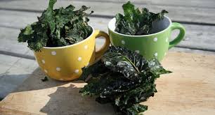 Chips De Chou Kale Chips De Chou Kale Chou Kale Chips Kale