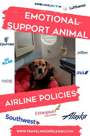 Account Suspended Emotional Support Dog Emotional Support Animal Emotional Support