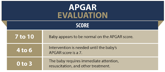 Image result for APGAR Score
