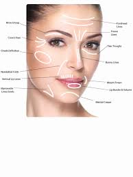 Botox Facial Diagram Wiring Diagrams