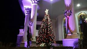 Tahun baru dan natal tentu akan kurang meriah tanpa ornamen satu ini. Arti Pohon Natal Asal Usul Pohon Natal Tradisi Natal Ratu Victoria Hingga Teatrikal Adam Dan Hawa Tribun Pontianak
