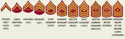Navy Enlisted Rank Online Charts Collection