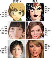 海外の反応 パンドラの憂鬱 海外 日本人の顔は多様なんだよ アニメキャラ白人説 を論破した画像が話題に 人間 骨格 顔 イラストの手法