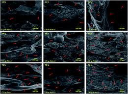 Hannah delisha) original motion picture soundtrack adalah salah satu lagu zizan razak yang ada di album baby bro (feat. Development And In Vitro Evaluation Of K Carrageenan Based Polymeric Hybrid Nanocomposite Scaffolds For Bone Tissue Engineering Rsc Advances Rsc Publishing Doi 10 1039 D0ra07446b