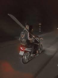 Cây phù hợp làm cây cảnh trong nhà, cây cảnh văn phòng giúp lọc. Meme Phong Lá»£n Meme áº£nh Cháº¿ Má»›i Nháº¥t