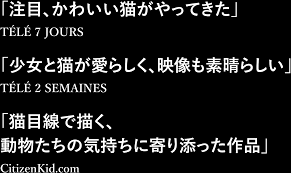 ABOUT THE MOVIE | 映画『ルー、パリで生まれた猫』公式サイト