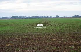 Maybe you would like to learn more about one of these? Agricultural Land For Sale In Uganda Spectrum Real Estate Solutions