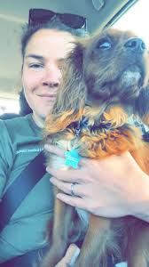 Cavalier King Charles Spaniels Among Friends