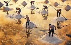 كم تكلف رحلة الذهاب لرؤية بعض اللوحات الفنية مجلة سيدتي